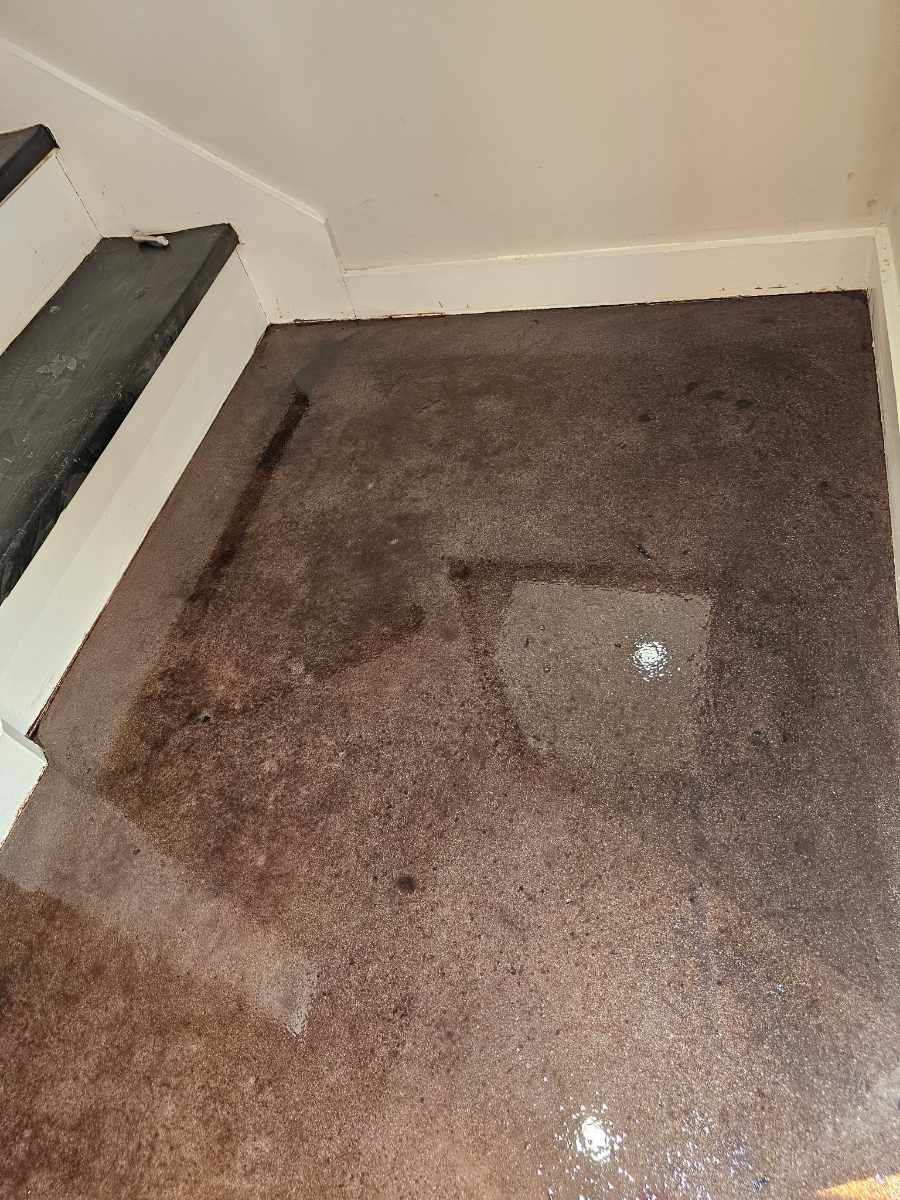Shiny Stained Concrete Floors in Houston Heights image